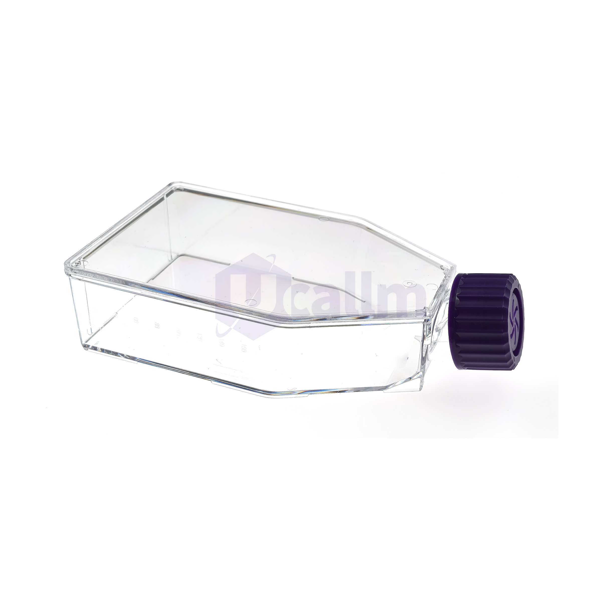 Ucell™ Cell Culture Flask, T-75, Vent Cap - Ucallmlabs