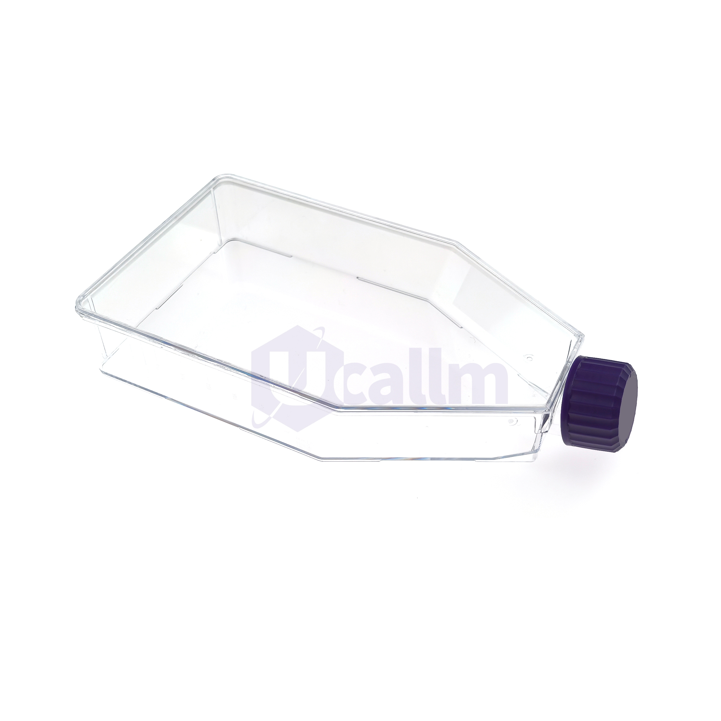 Ucell™ Cell Culture Flask, T-175, Plug Seal Cap (2)
