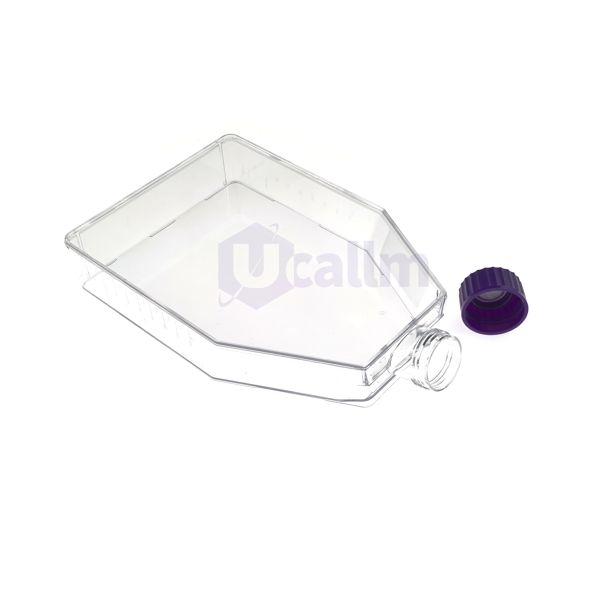 Ucell™ Cell Culture Flask, T-225, Vent Cap (1)