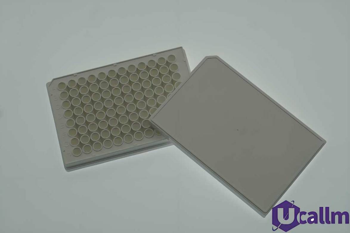 96 well plate dimensions