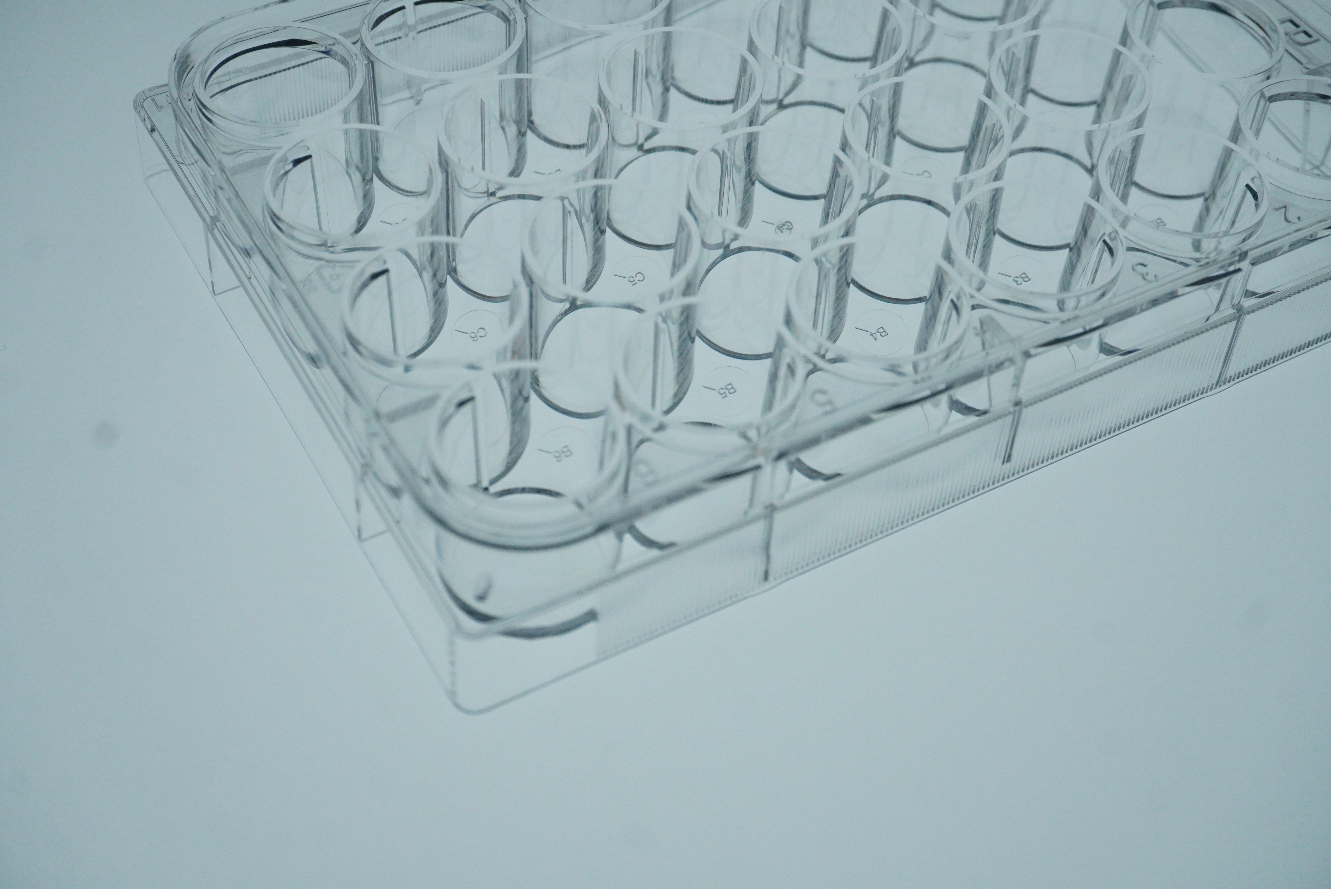 Transparent Bottoms Microplates