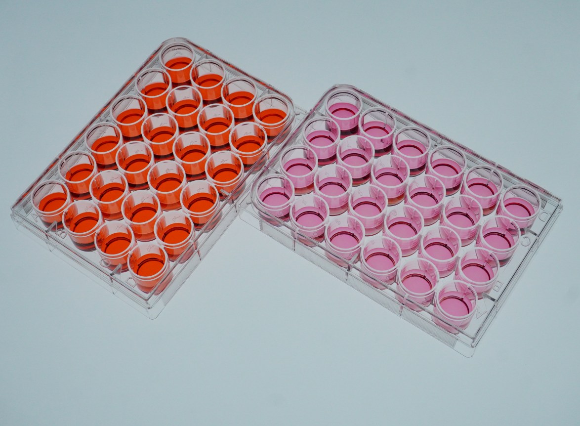 Standard And Transparent Bottom Well Plate Types