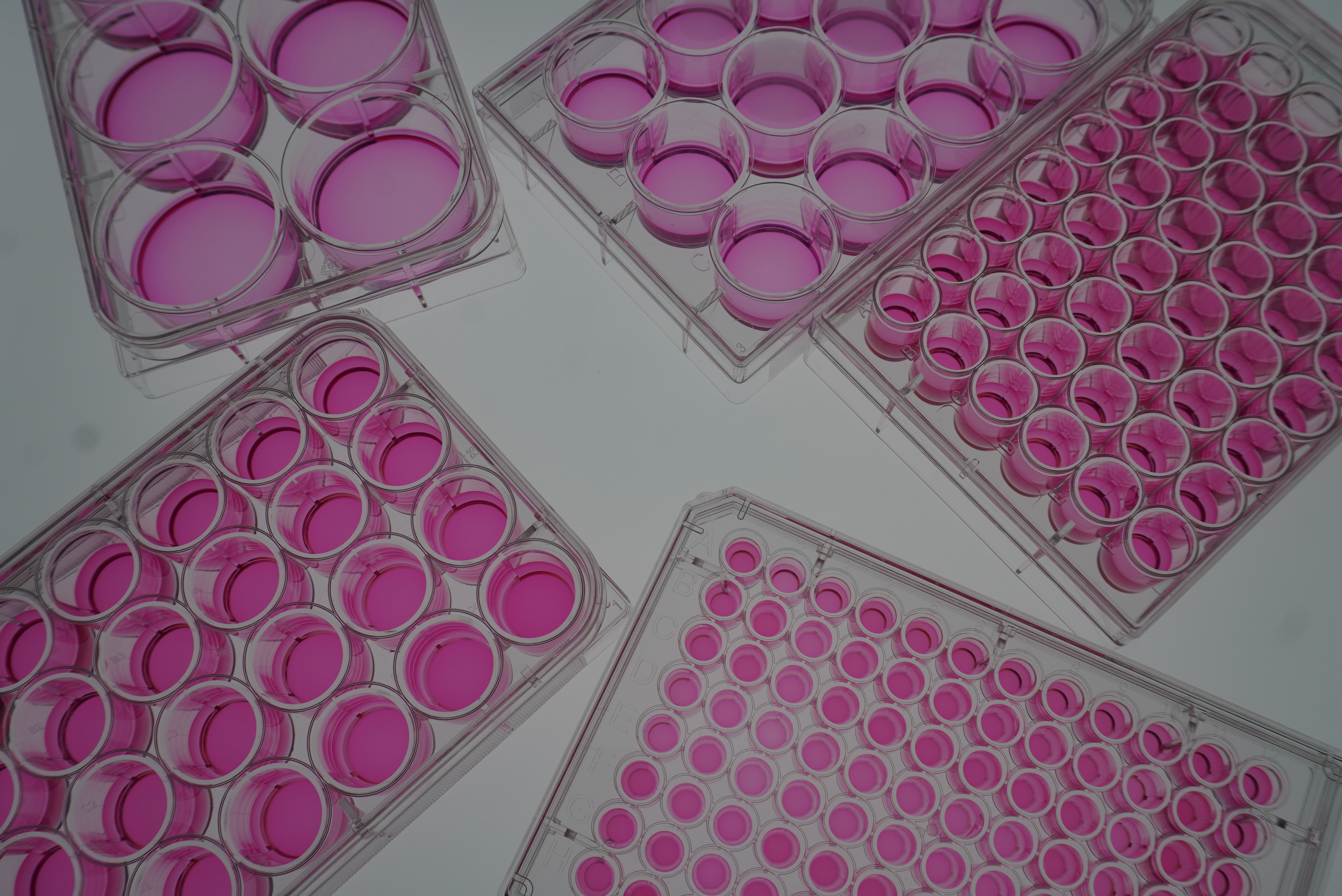 microwell sonogenetics