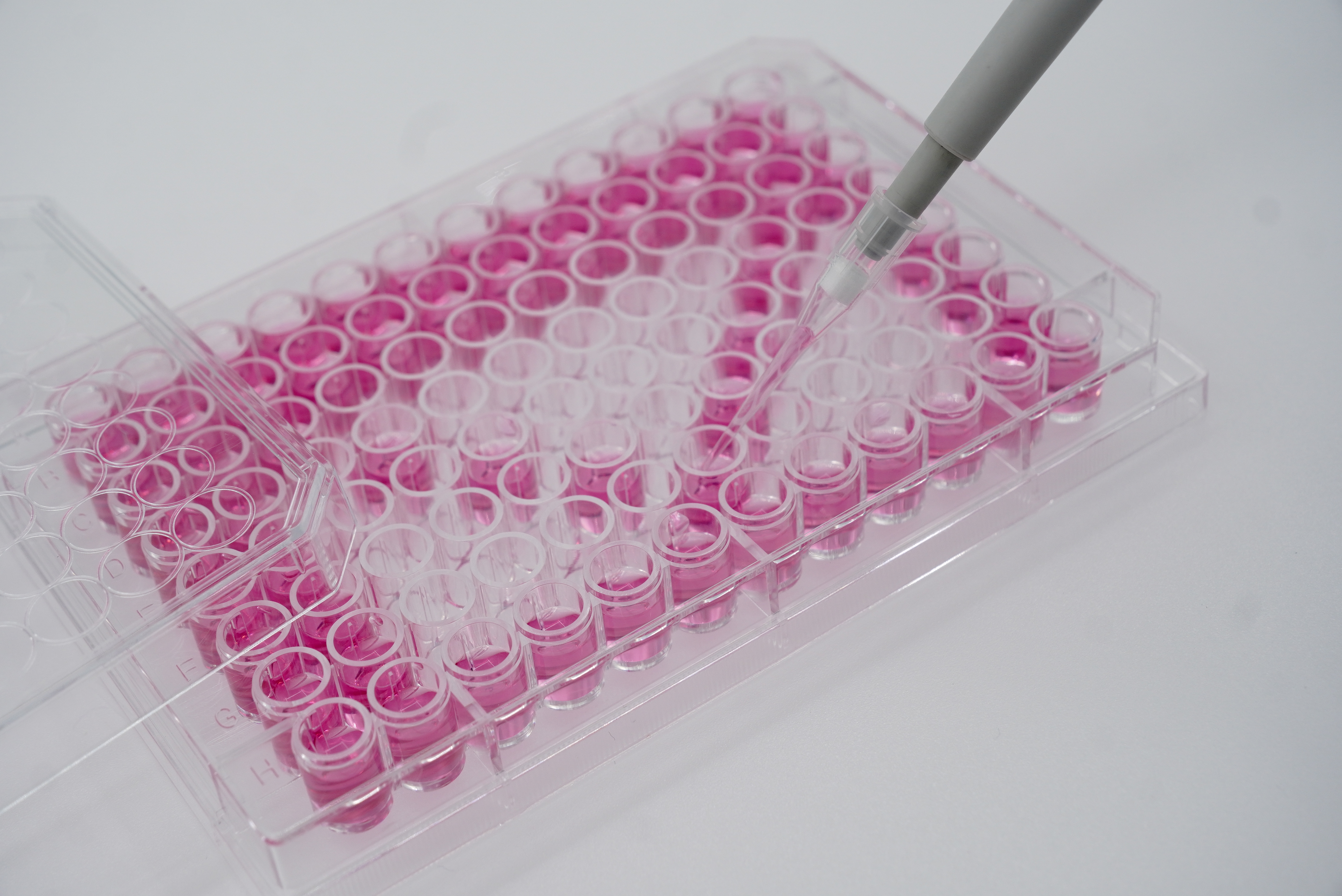 96 well plate volume