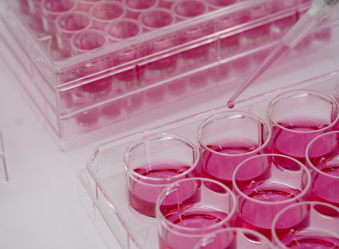 The History Of The Microplate