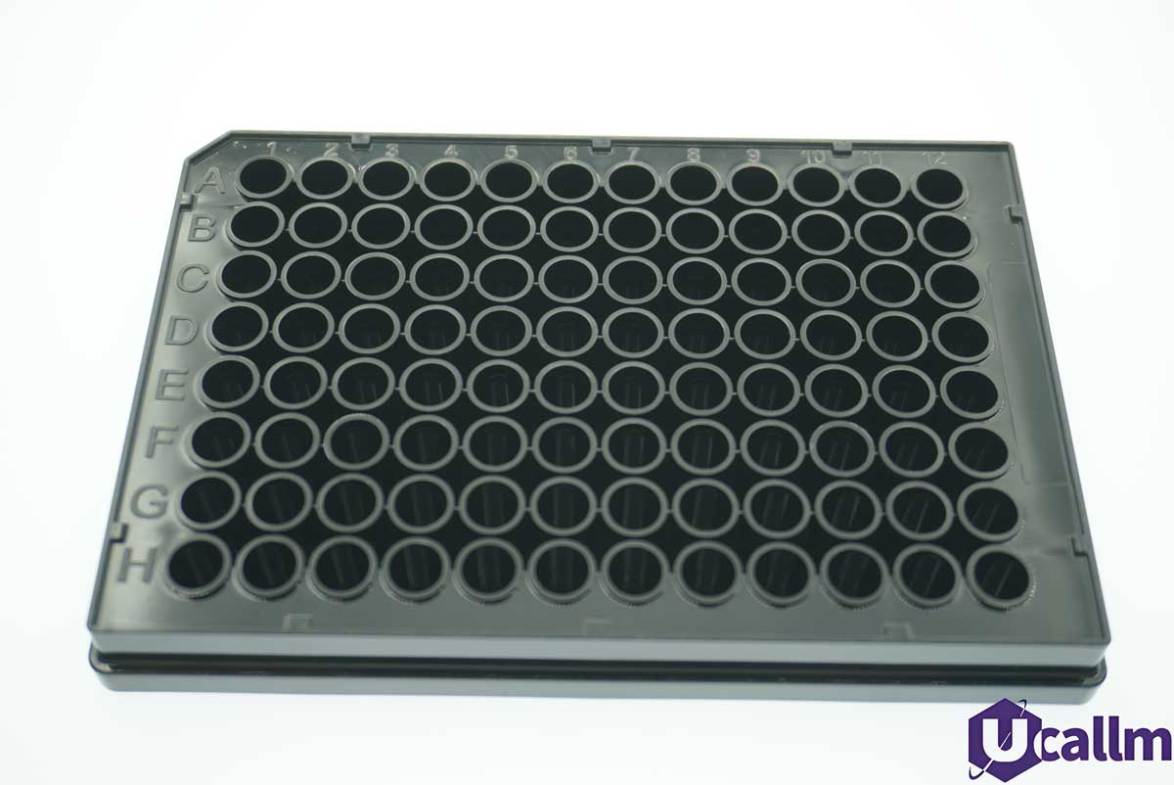 black 96 well plate