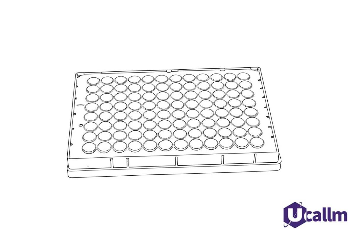 96 well deep well plate