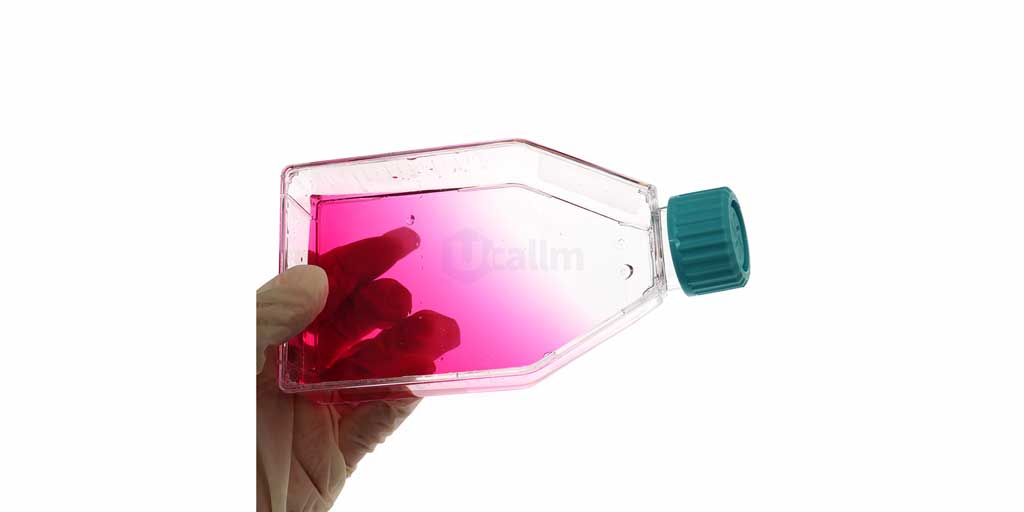 Cell-Culture-Flask