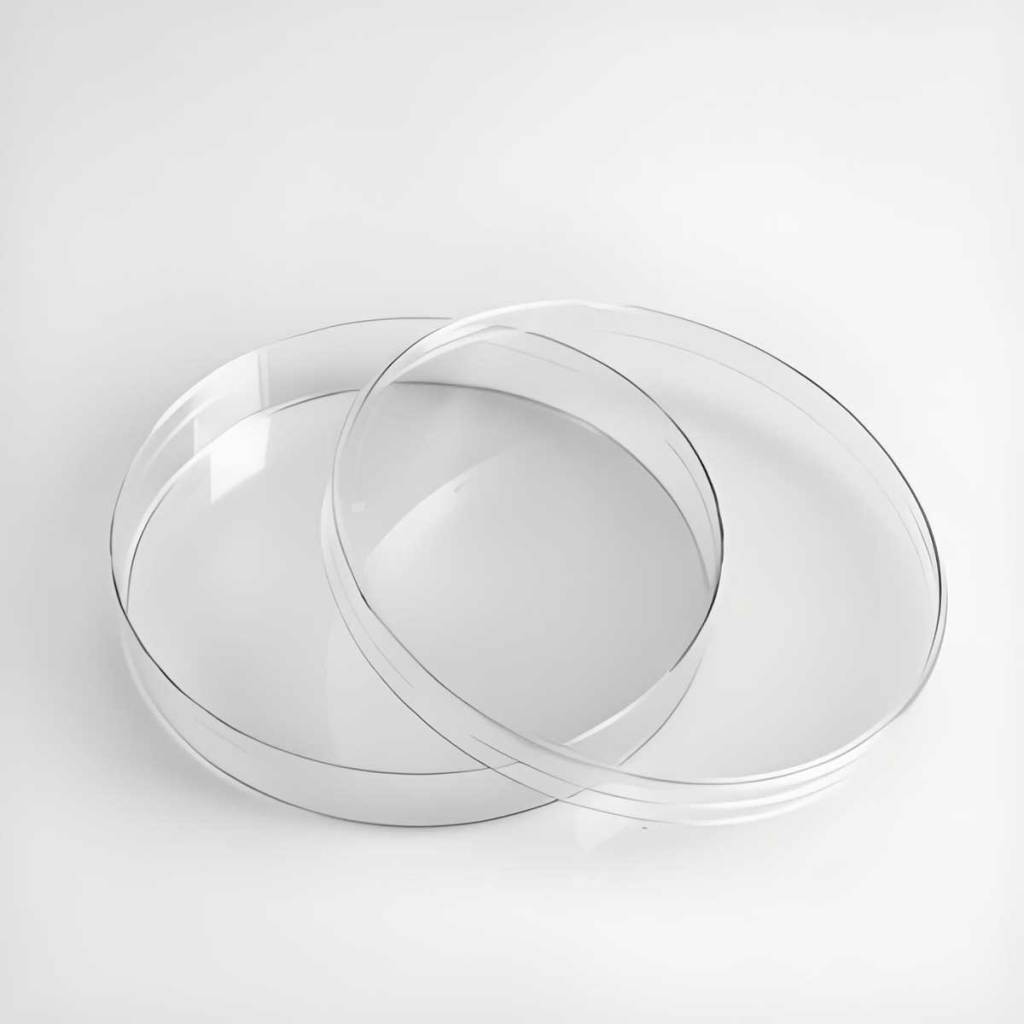 Petri dish