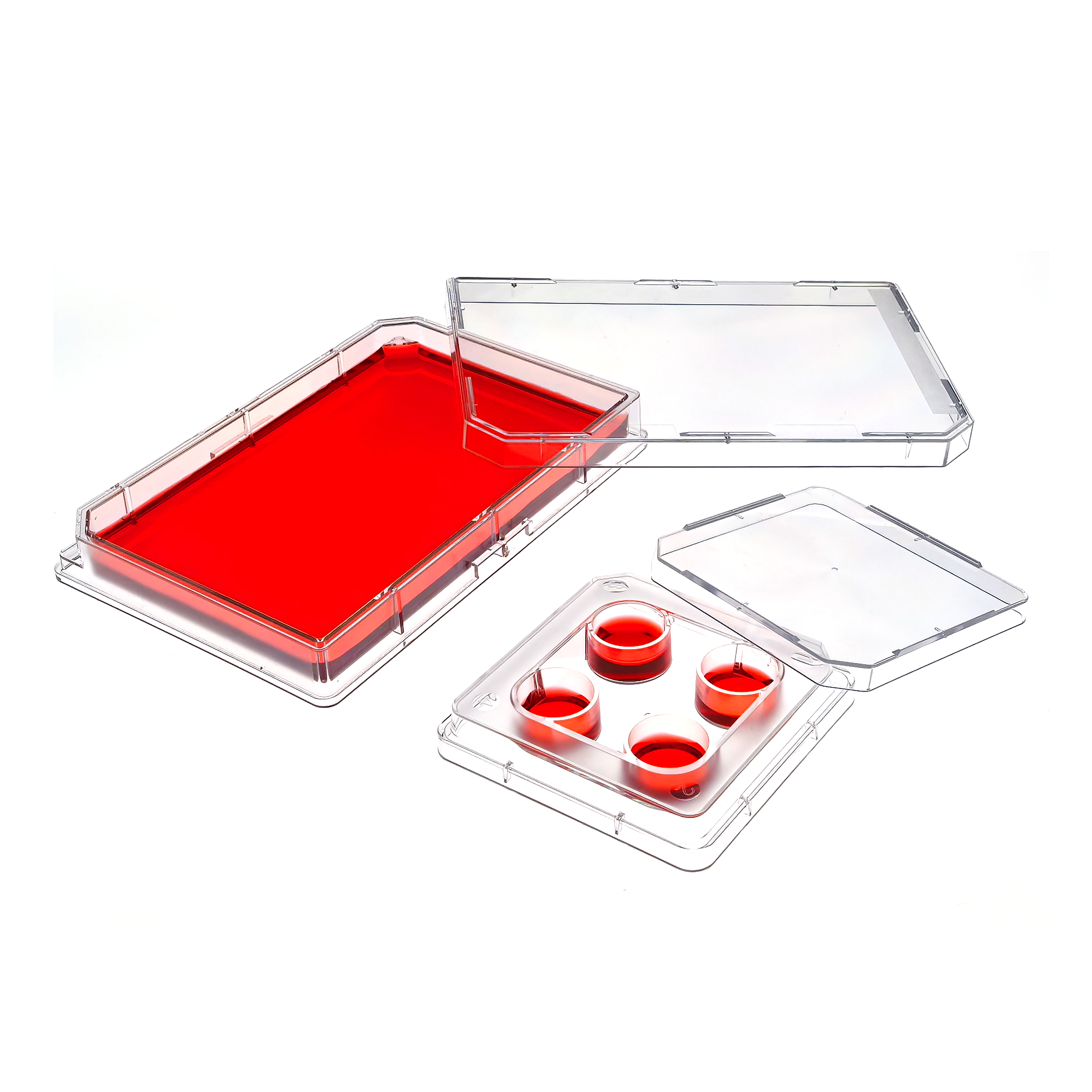 Ucell™ 4 Well Cell Culture Plate (5)