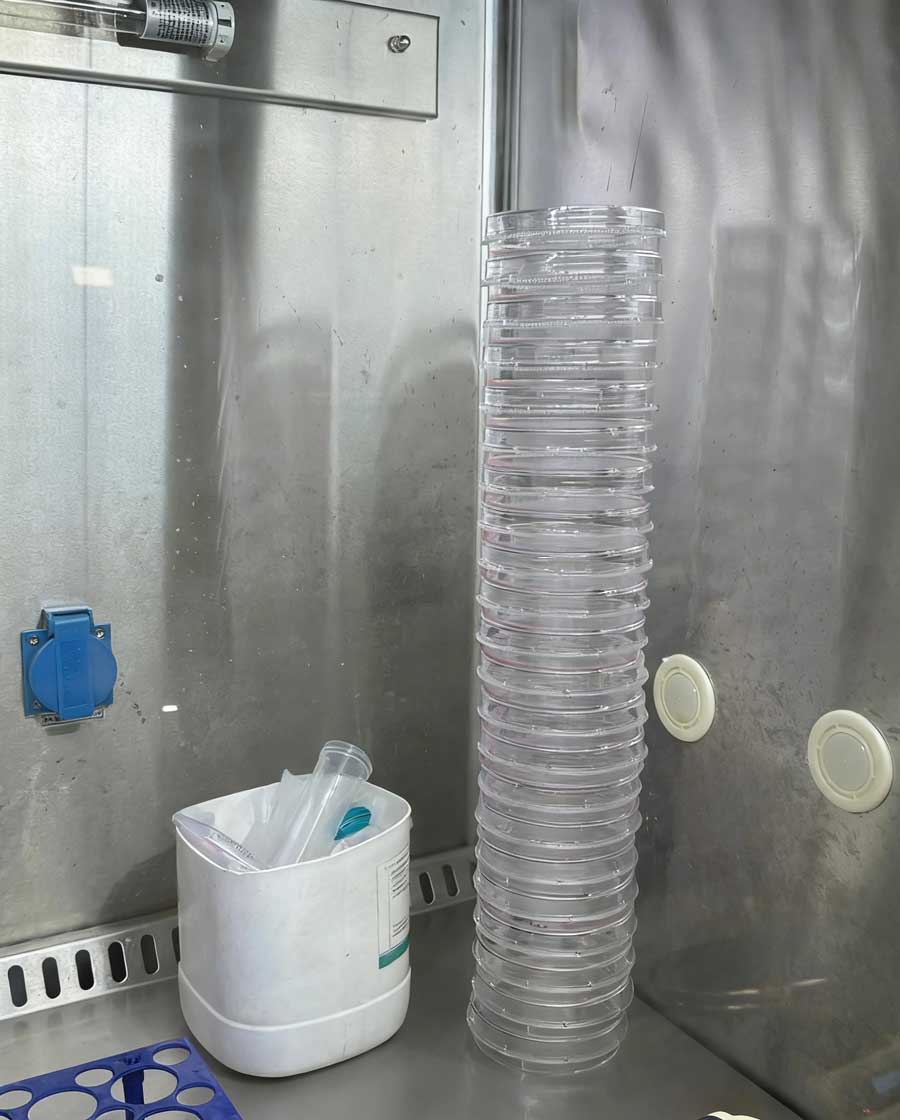 Stacked Petri Dishes in Laboratory Setting