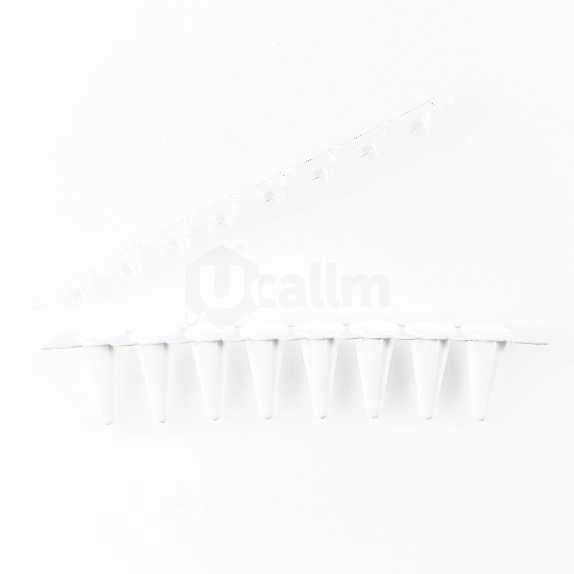 H1302-07 0.1 mL 8 Strip PCR Tube, plus strips of Flat caps, white-2