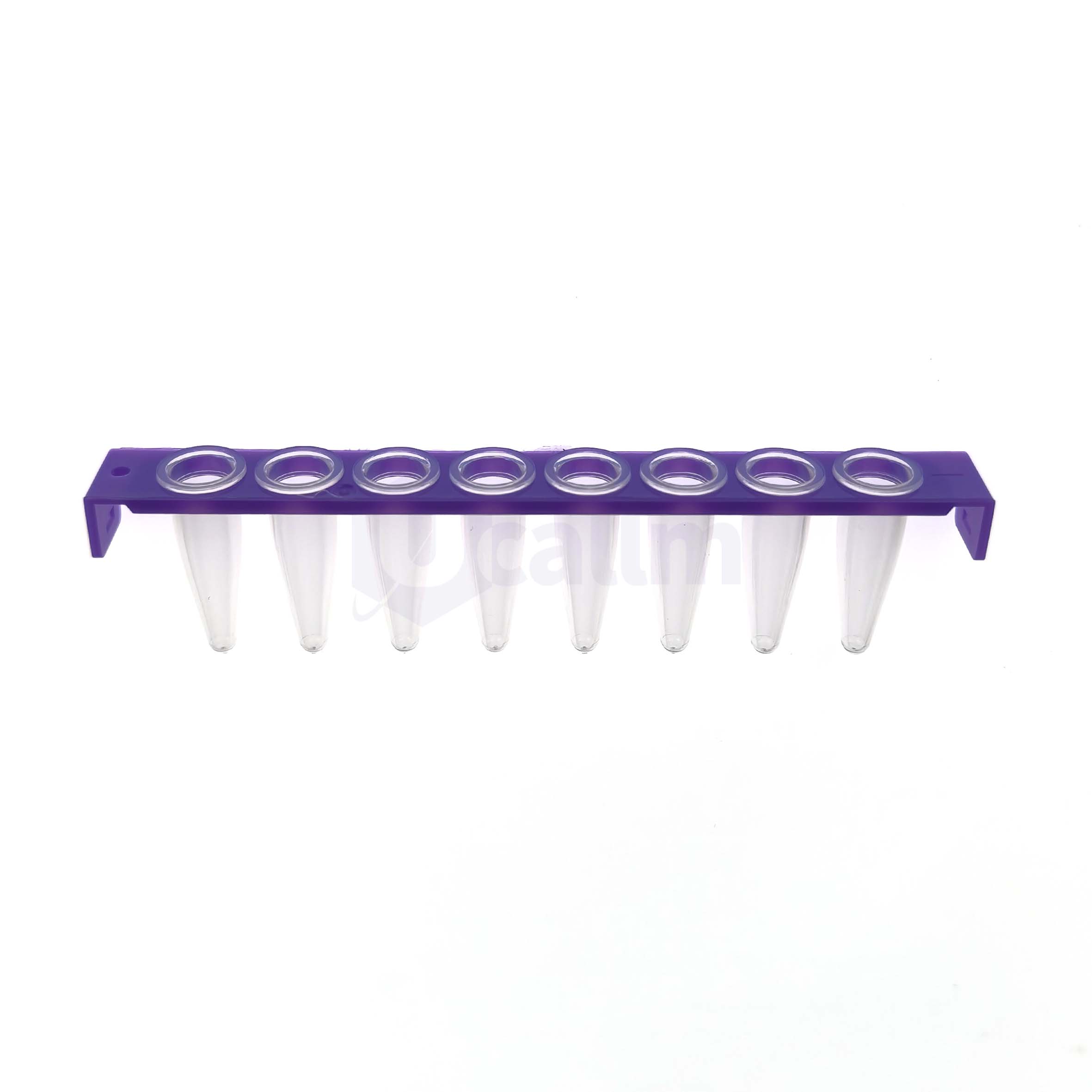 H1410-04 0.2 mL 8 Strip PCR Tube without cap, clear PP wells, violet PC frame-1