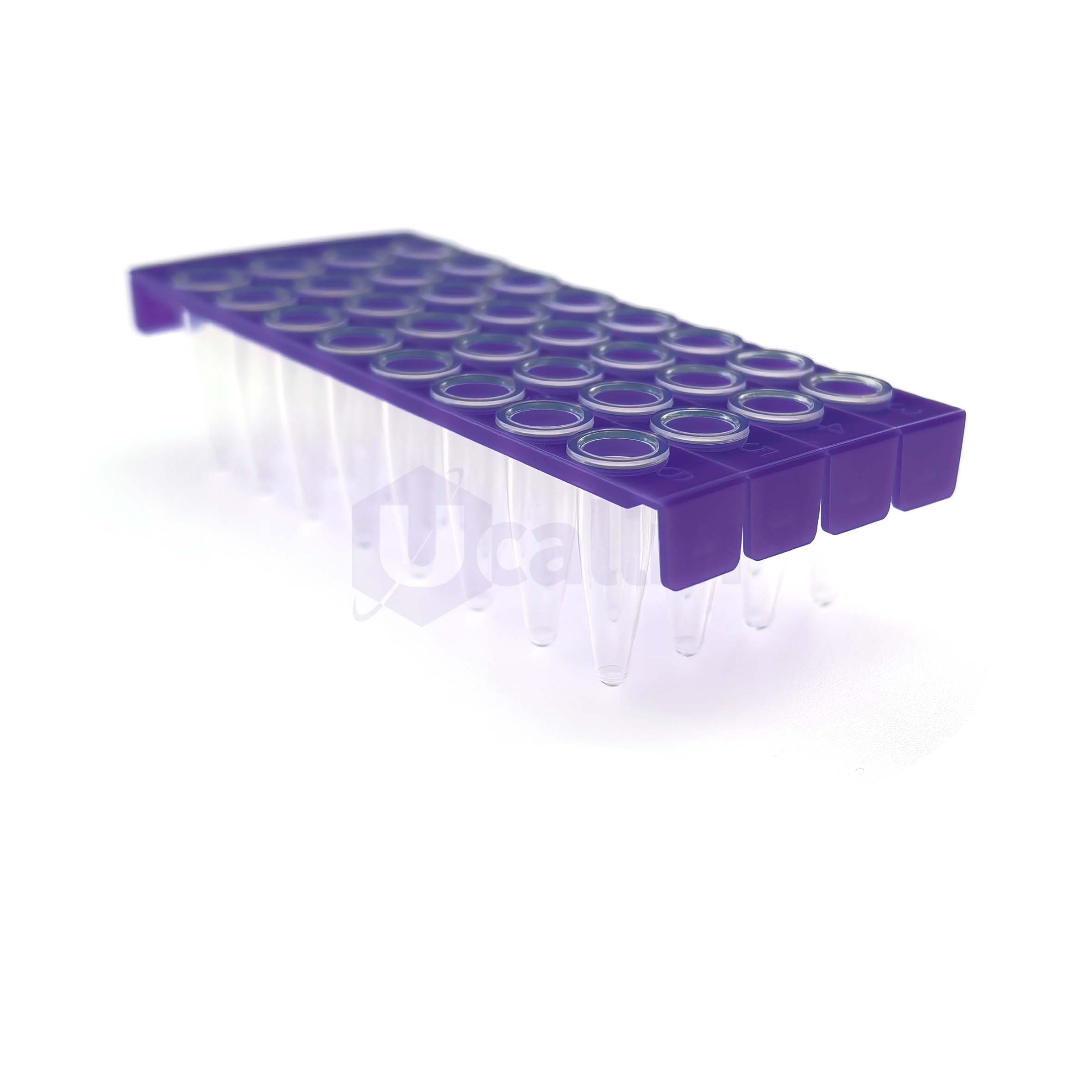H2152-04 0.2 mL 32 well Half skirt PCR plate, clear PP wells, violet PC frame-3