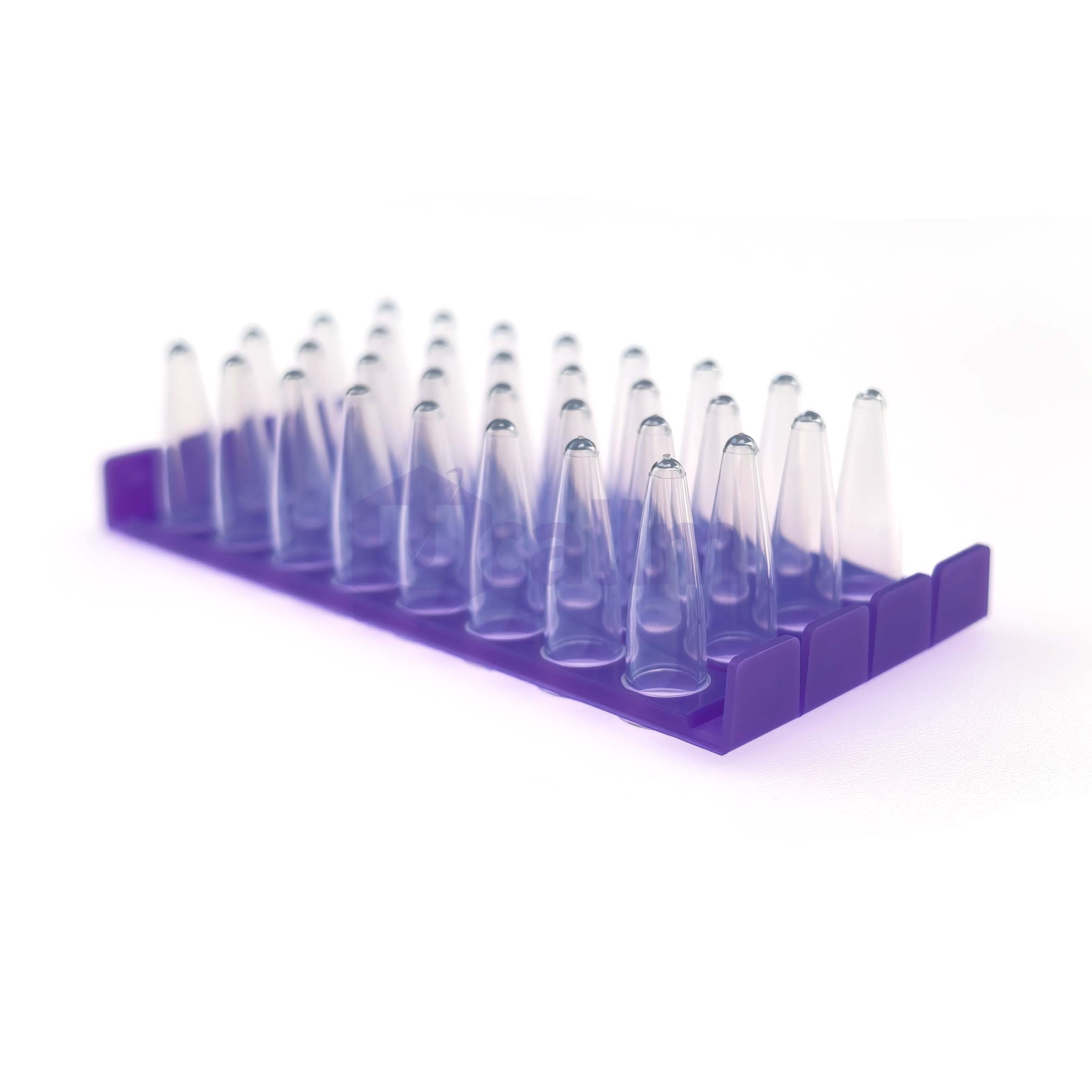 H2152-04 0.2 mL 32 well Half skirt PCR plate, clear PP wells, violet PC frame-4