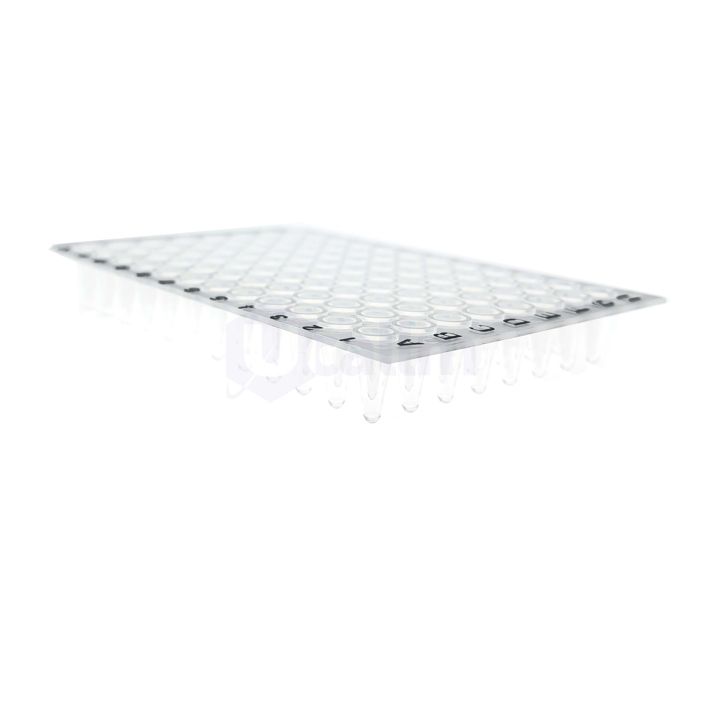 H2308-00 0.1 mL 96 well No skirt PCR plate, clear, A12&H12 Notch-5