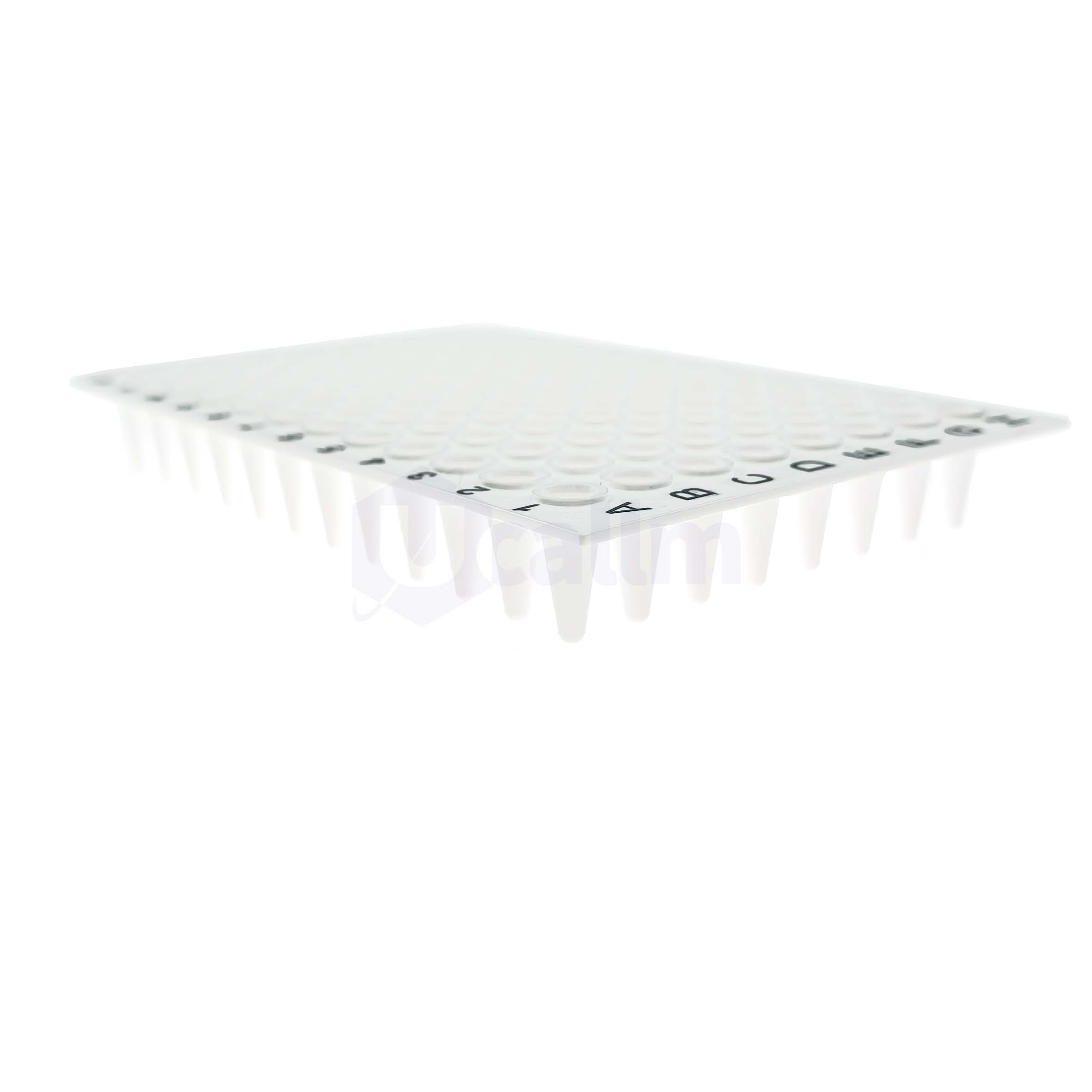 H2308-07 01 mL 96 well No skirt PCR plate, white, A12&H12 Notch-5