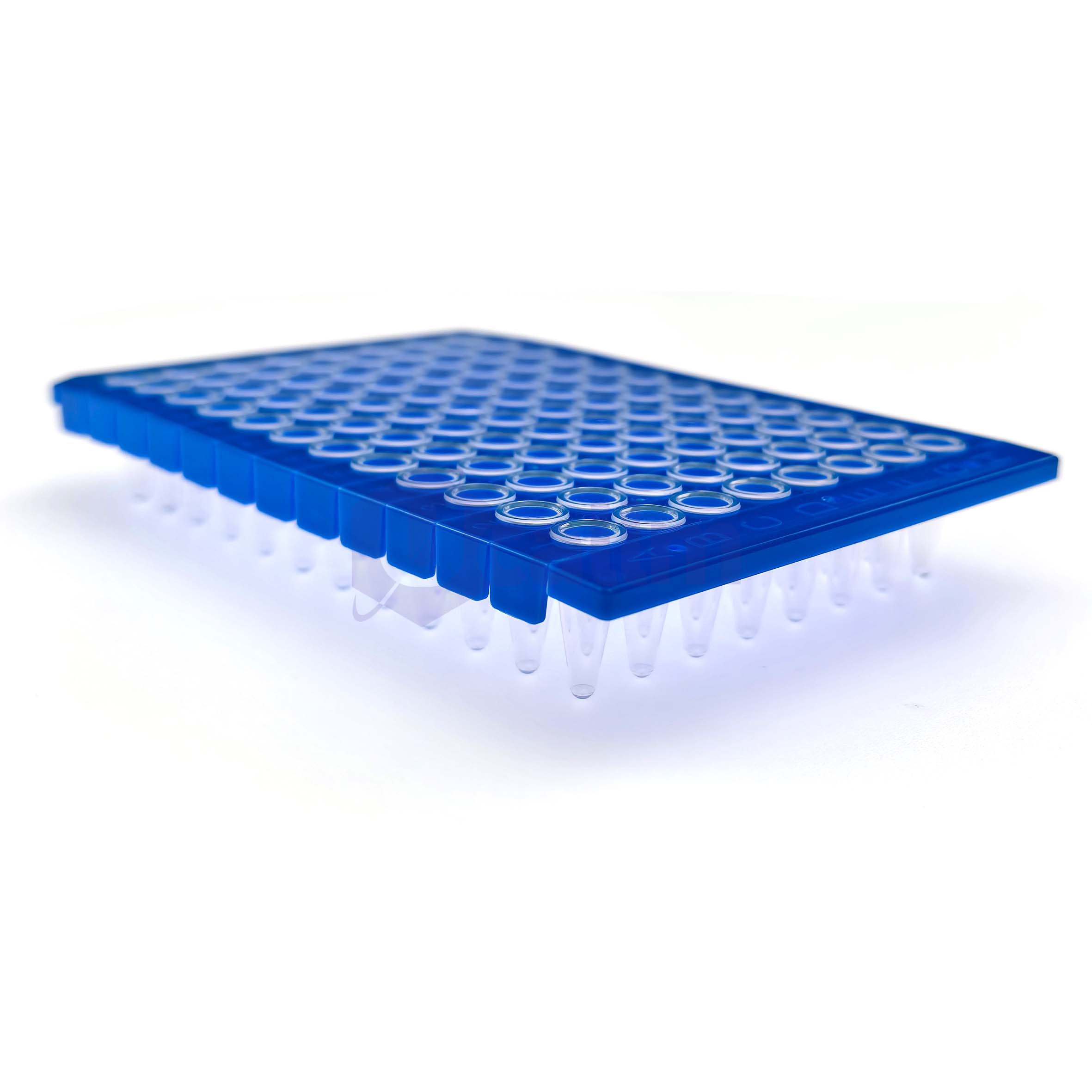 H2353-01 0. 2 mL 96 well Half skirt PCR plate, A12 Notch, Segmented-5