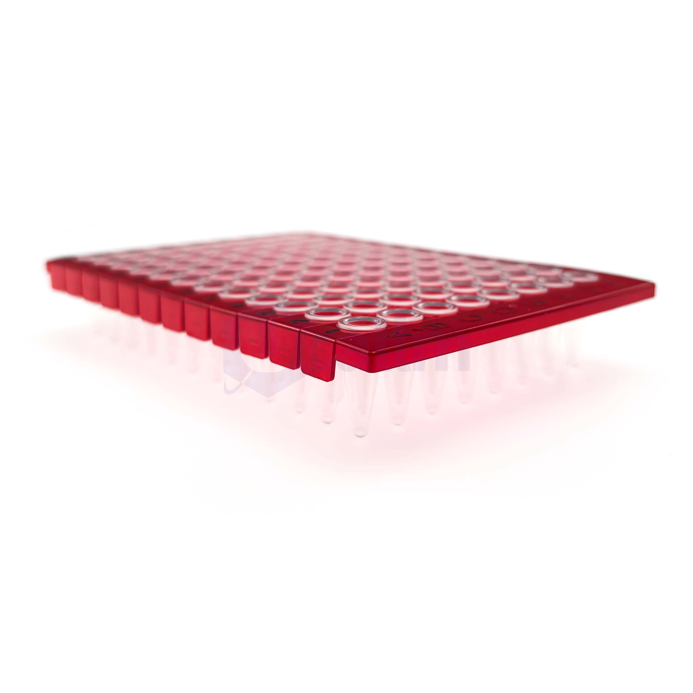 H2353-03 0. 2 mL 96 well Half skirt PCR plate, A12 Notch, Segmented-5