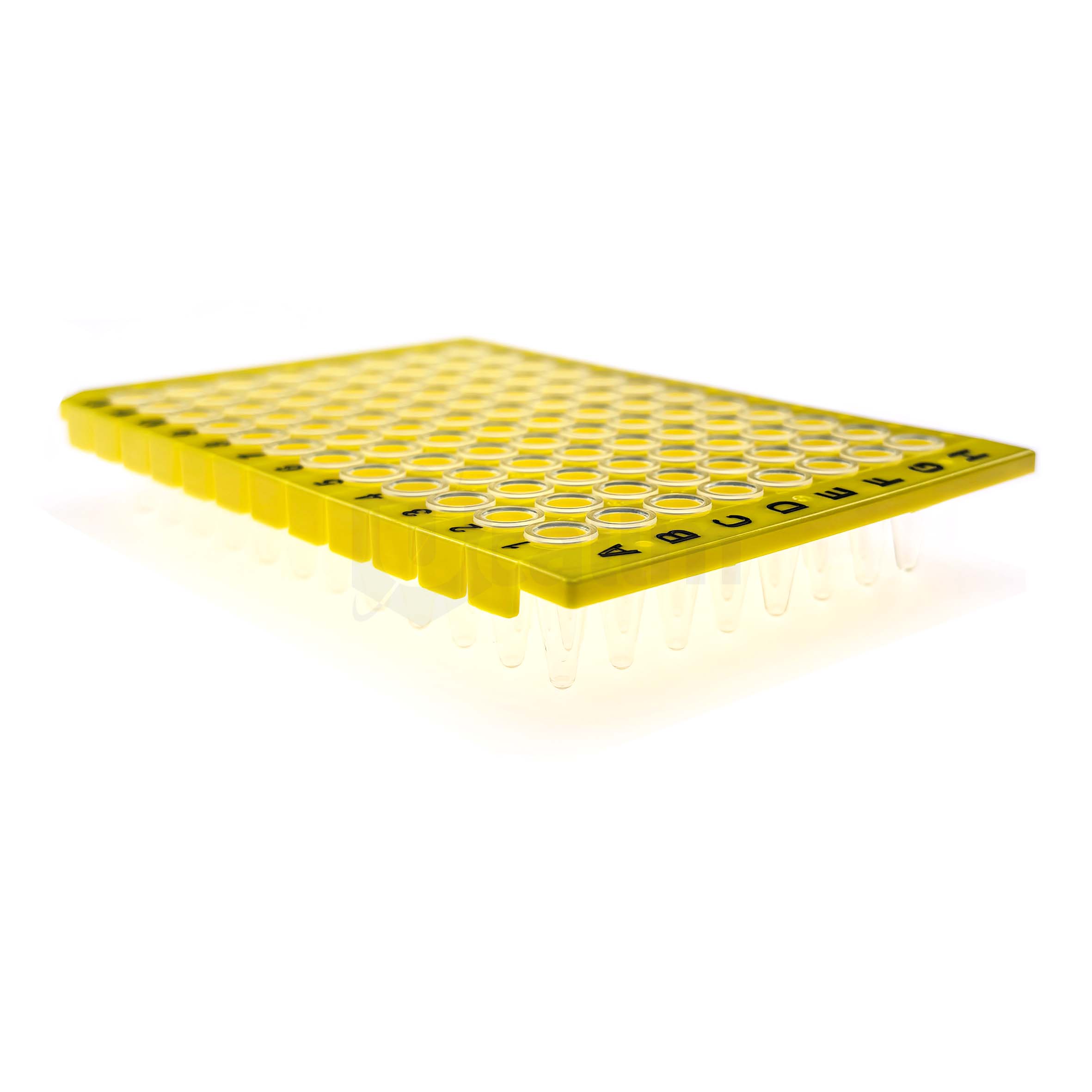 H2353-05 0. 2 mL 96 well Half skirt PCR plate, A12 Notch, Segmented-5