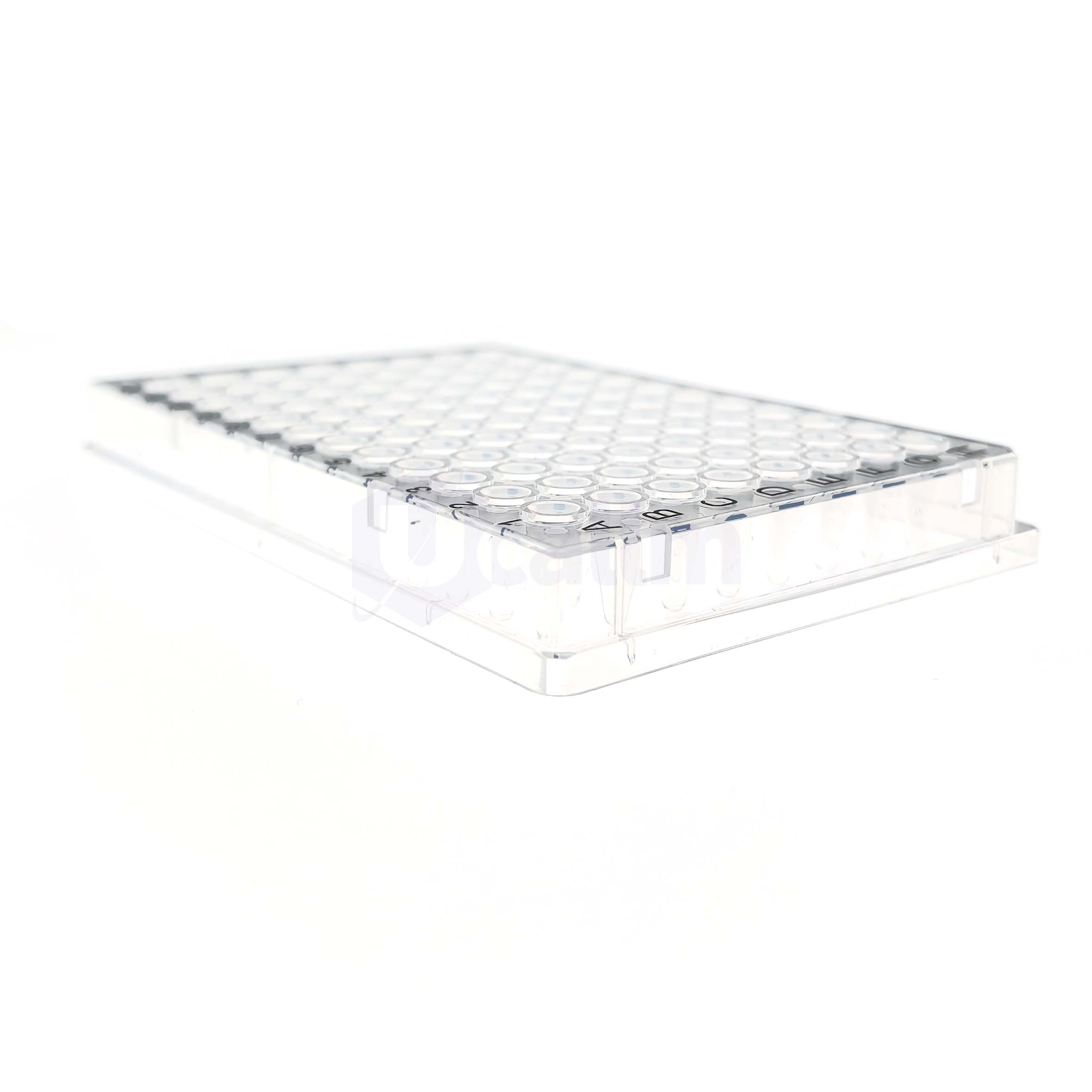 H2384-00 0.2 mL 96 well Full skirt PCR plate, clear PP wells, clear PC frame, H1 Notch-5