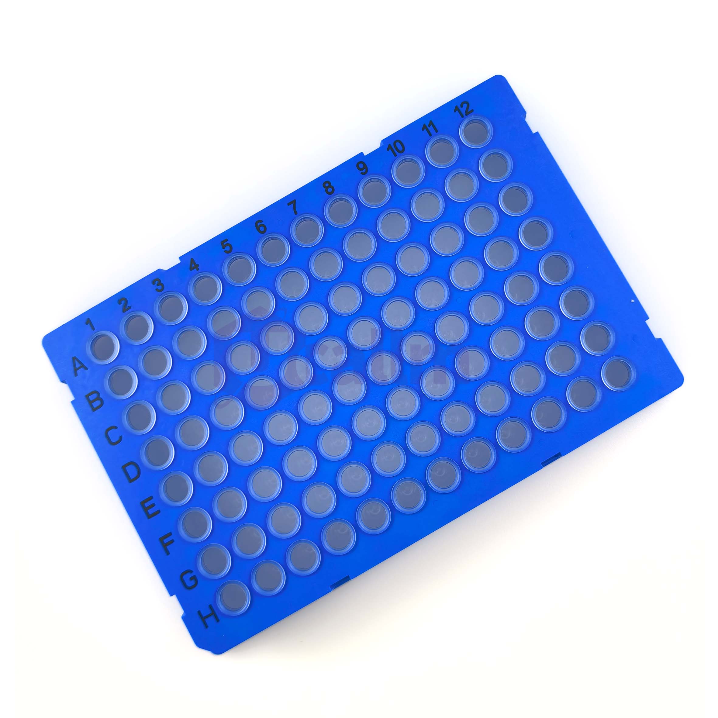 H2384-01 0.2 mL 96 well Full skirt PCR plate, clear PP wells, blue PC frame, H1 Notch-2