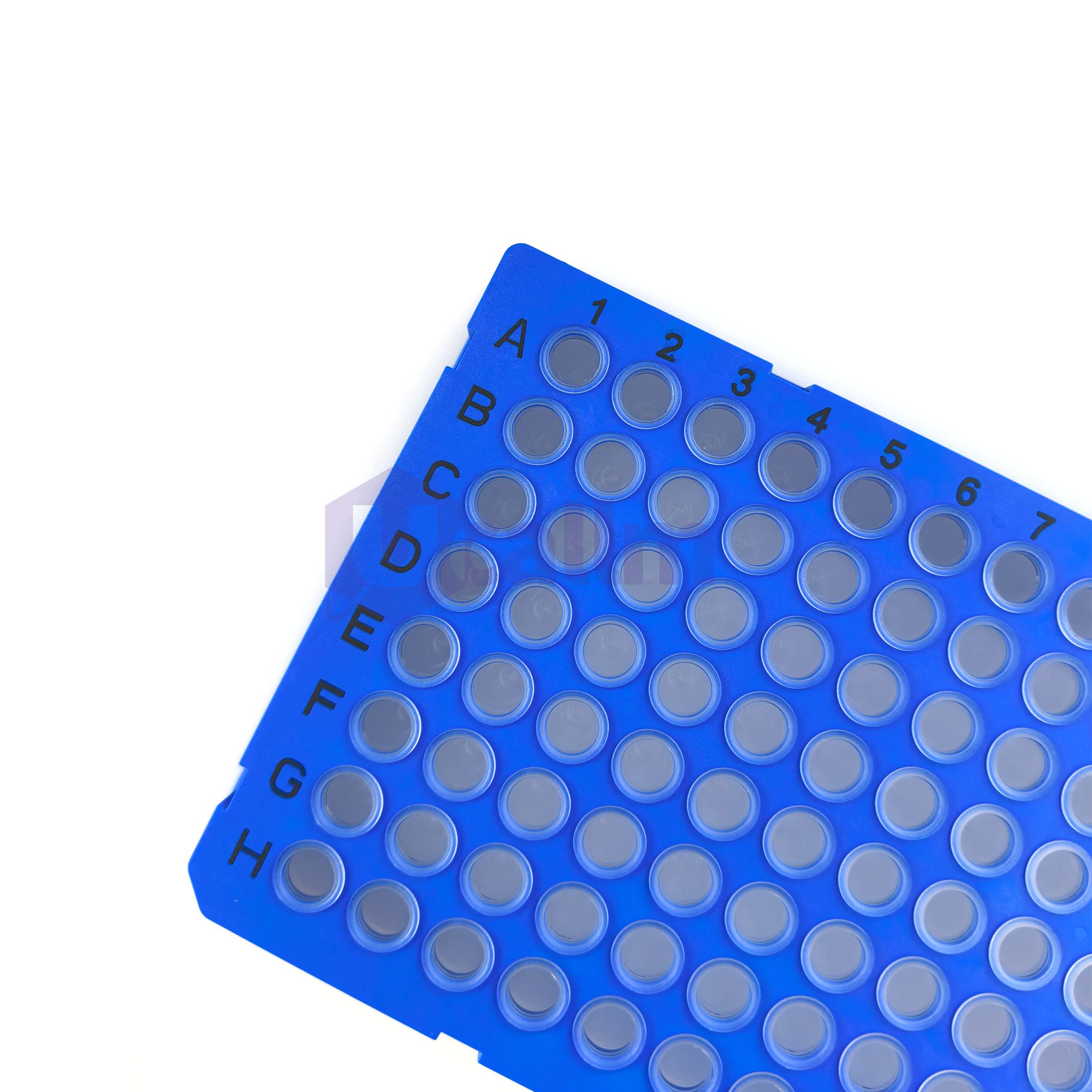 H2384-01 0.2 mL 96 well Full skirt PCR plate, clear PP wells, blue PC frame, H1 Notch-3