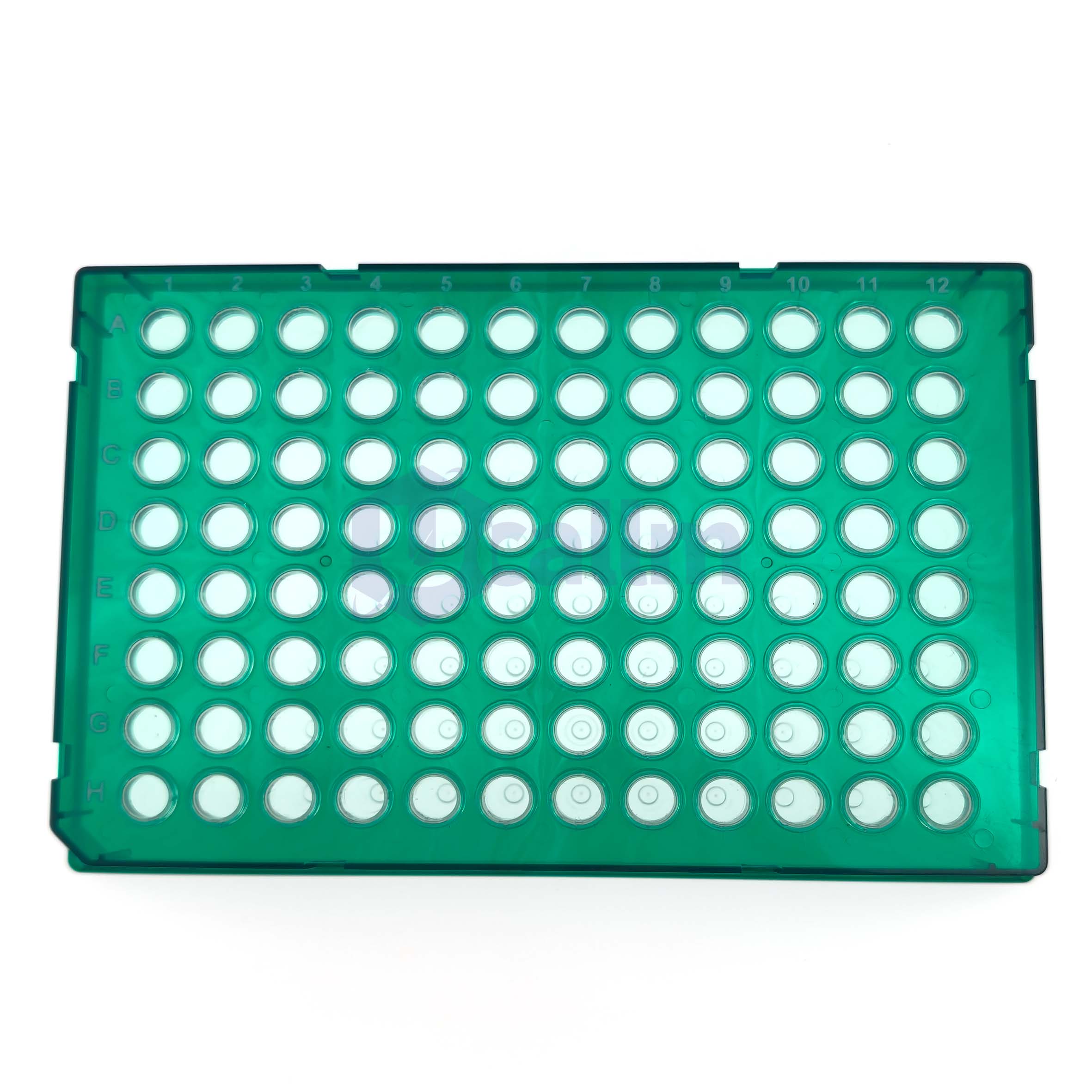 H2384-02 0.2 mL 96 well Full skirt PCR plate, clear PP wells, green PC frame, H1 Notch-1