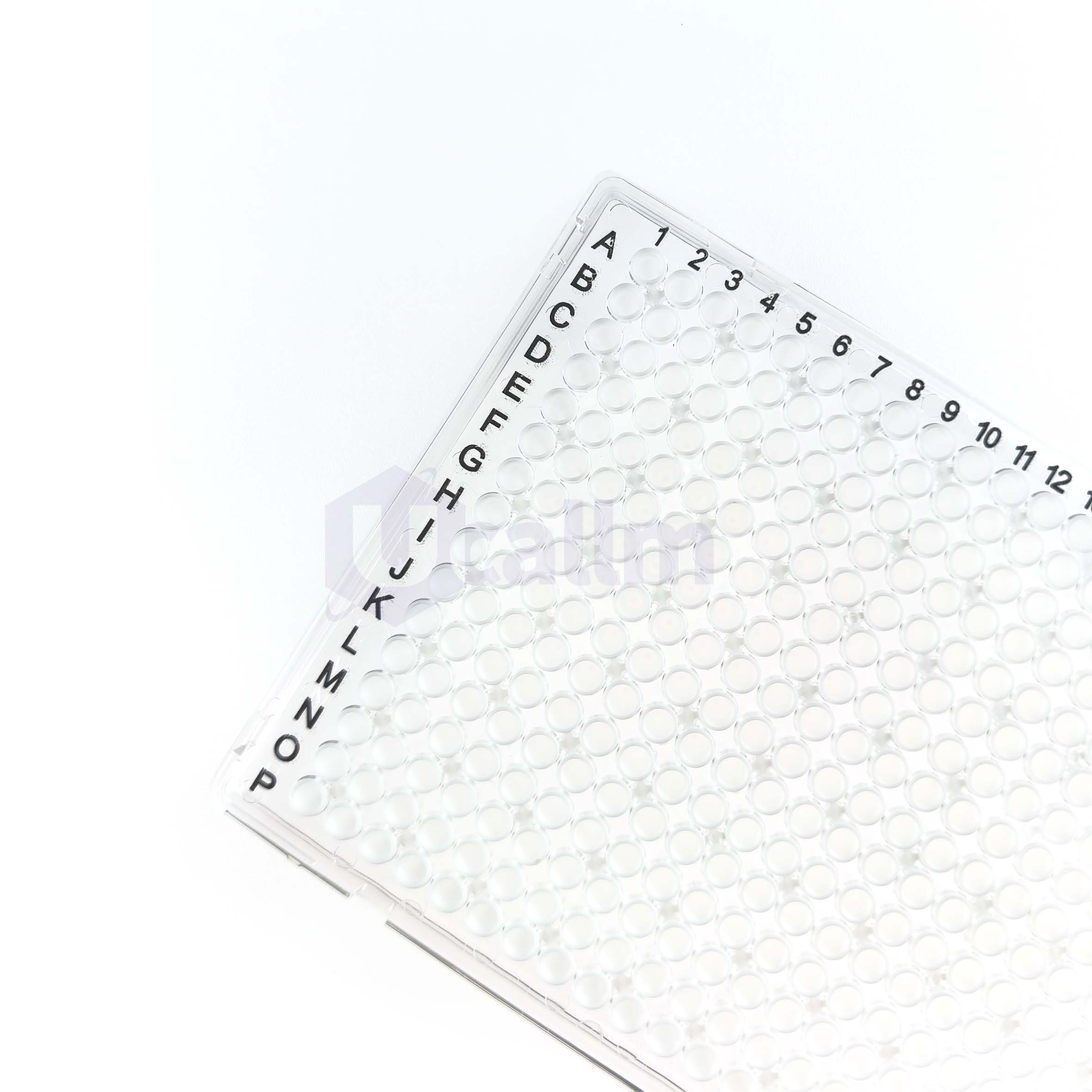 384 Well Full Skirt PCR Plate, 40 µL, White PP Wells, Clear PC Frame ...
