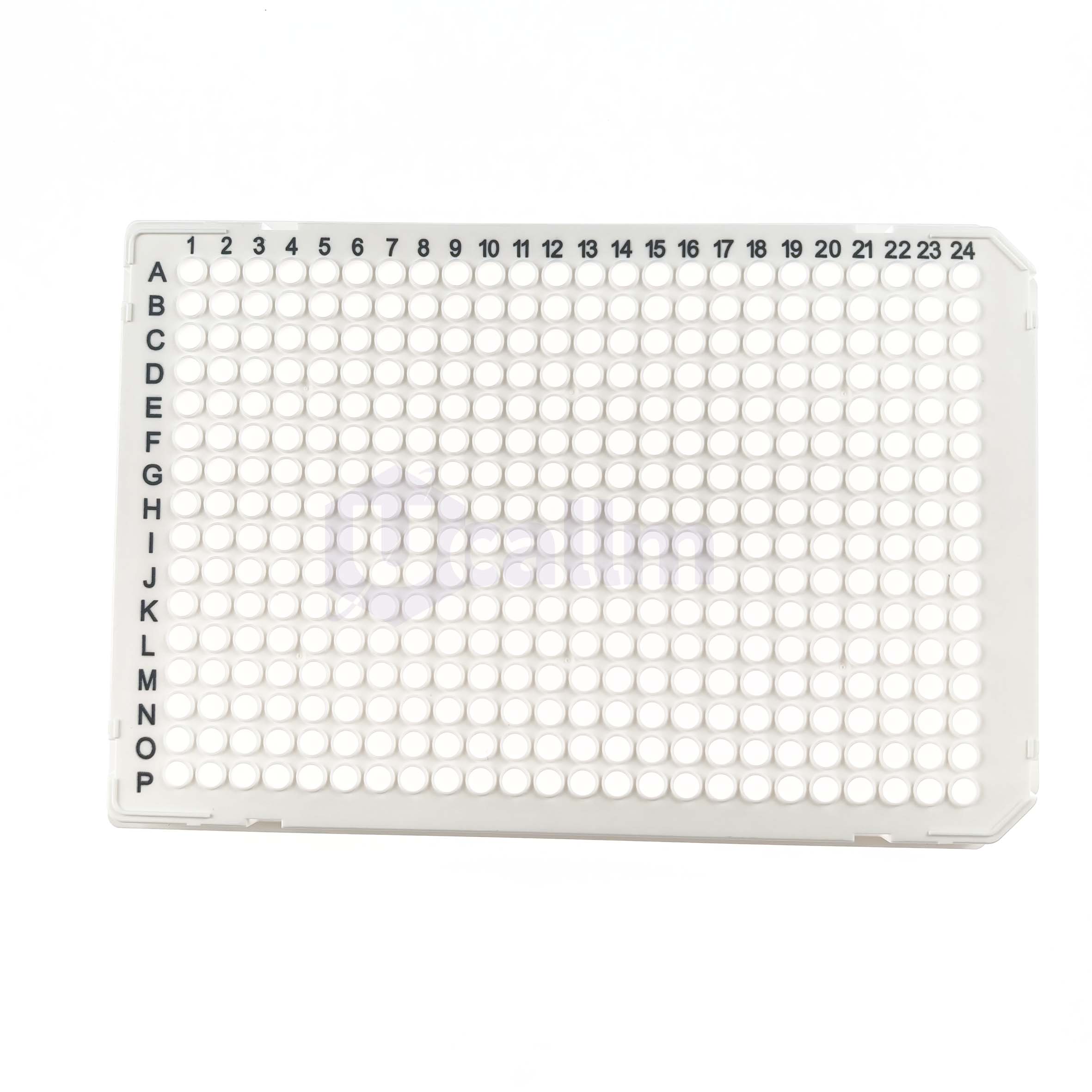 384 Well Full Skirt PCR Plate, 40 µL, White PP Wells, White PC Frame ...