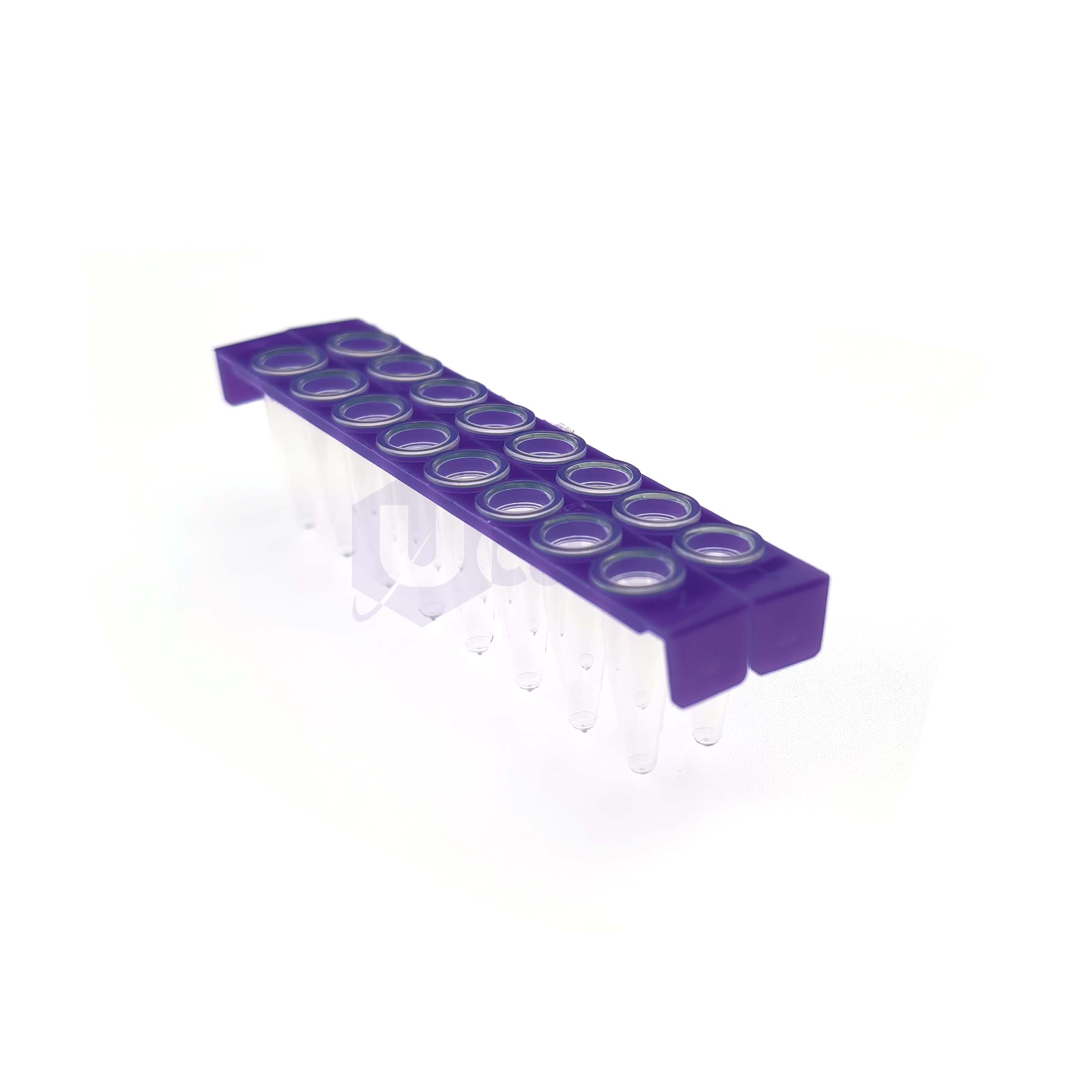 H2652-04 0.2 mL 16 well Half skirt PCR plate, clear PP wells, violet PC frame-3