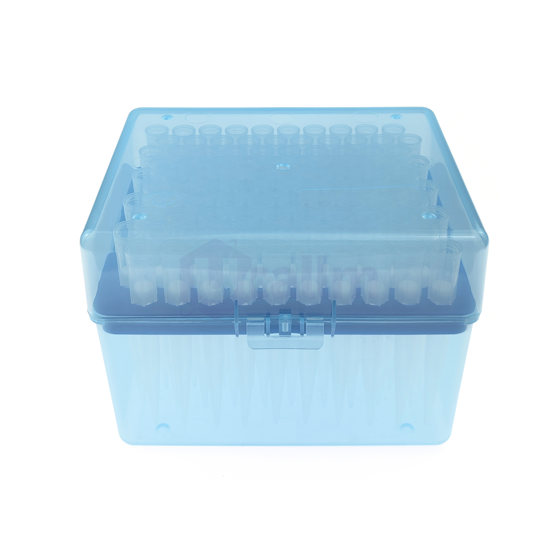 1000µL Filter Pipette Tips, Clear, Filtered, Sterile, Racked-1 Blue plastic ice cube tray with many small round molds viewed from above.