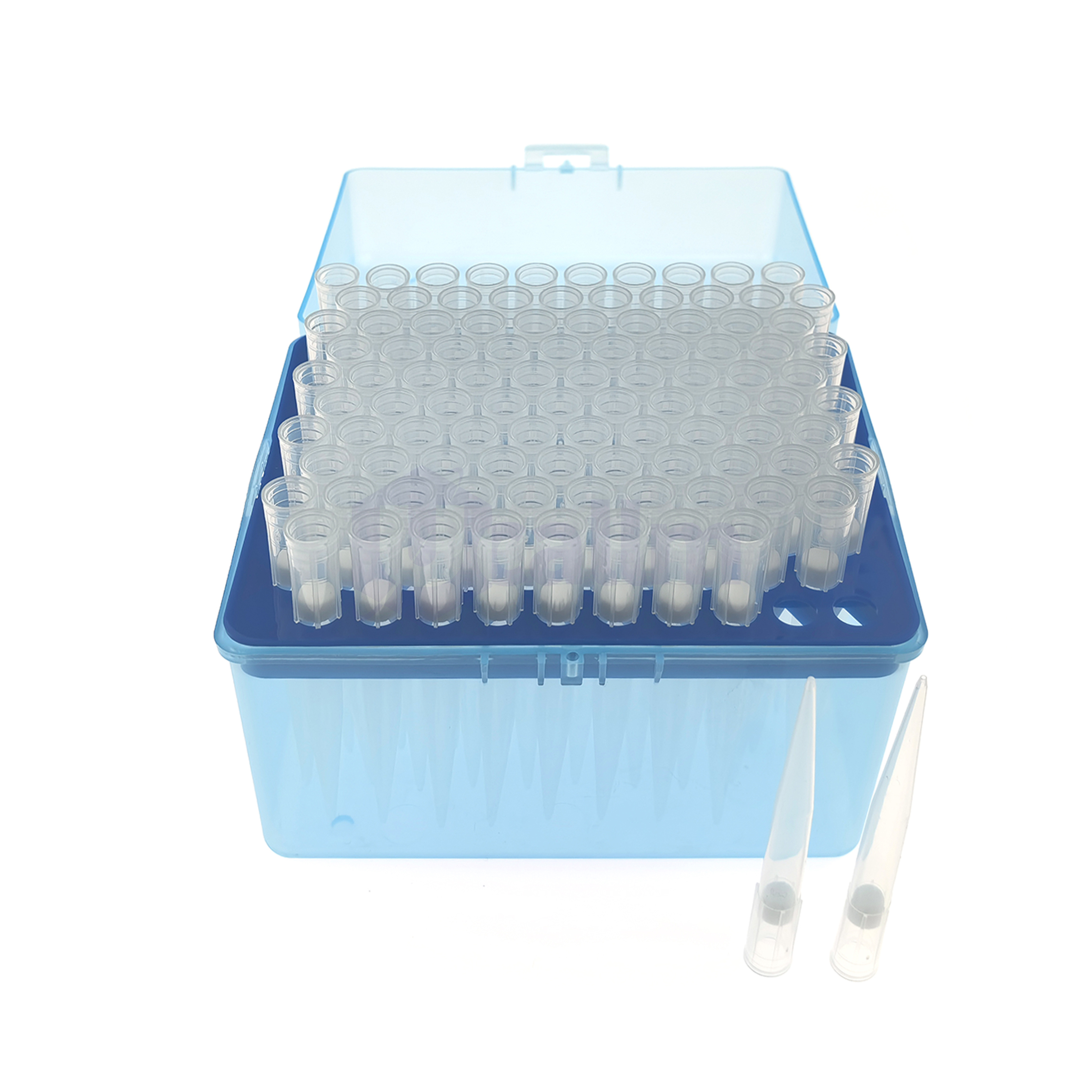 1000µL Filter Pipette Tips, Clear, Filtered, Sterile, Racked-5 Blue laboratory storage box filled with rows of clear capped microcentrifuge tubes in a rack, viewed from above.
