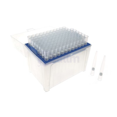 Clear plastic storage box with a blue tray holding rows of small, capped laboratory vials (cryovials) for sample storage.