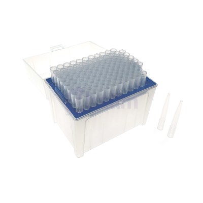Clear plastic storage box holding a blue tray filled with empty microcentrifuge tubes in a grid pattern.