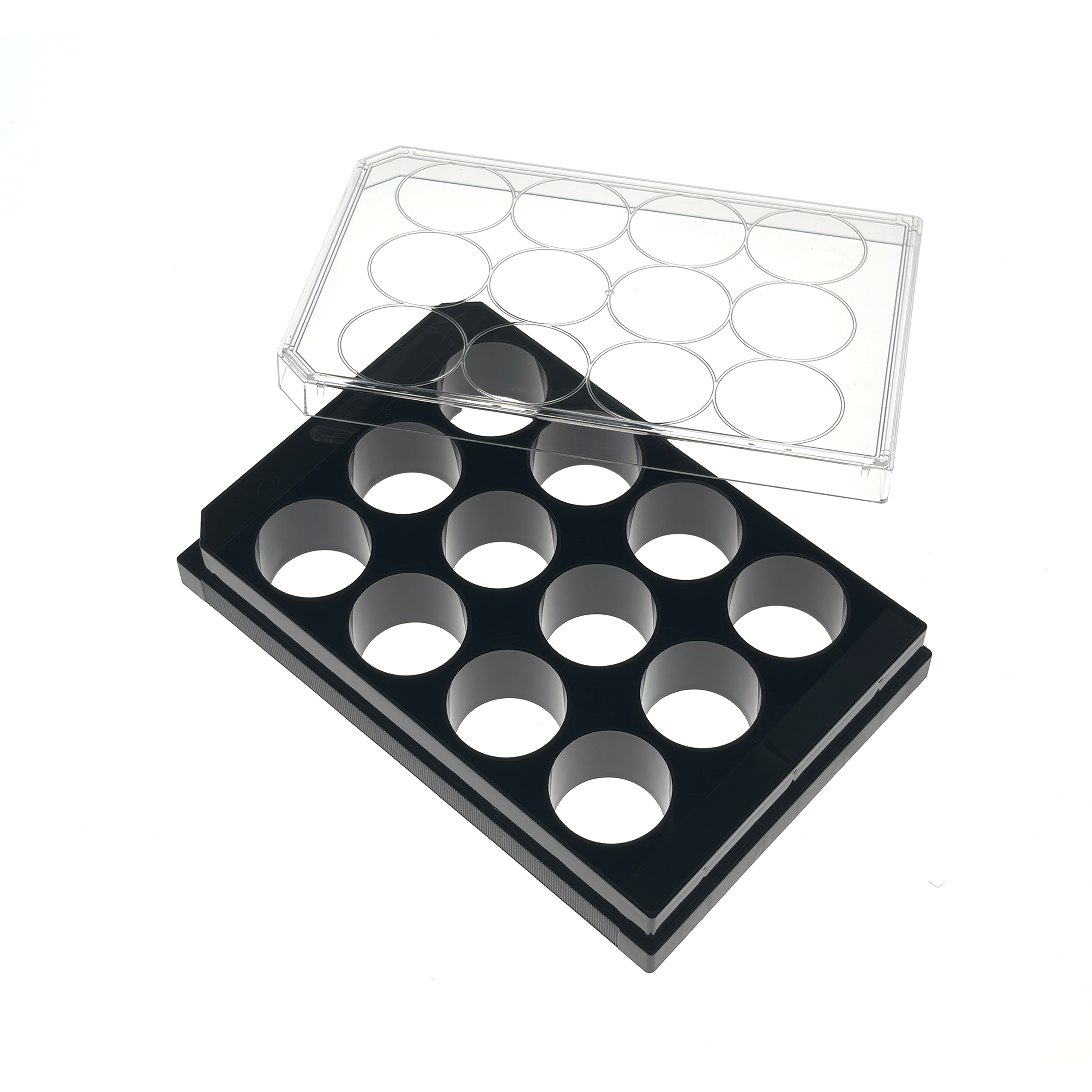 12 Well glass bottom plate (4) Clear transparent storage tray featuring multiple circular slots arranged in a grid, angled over a dark base.