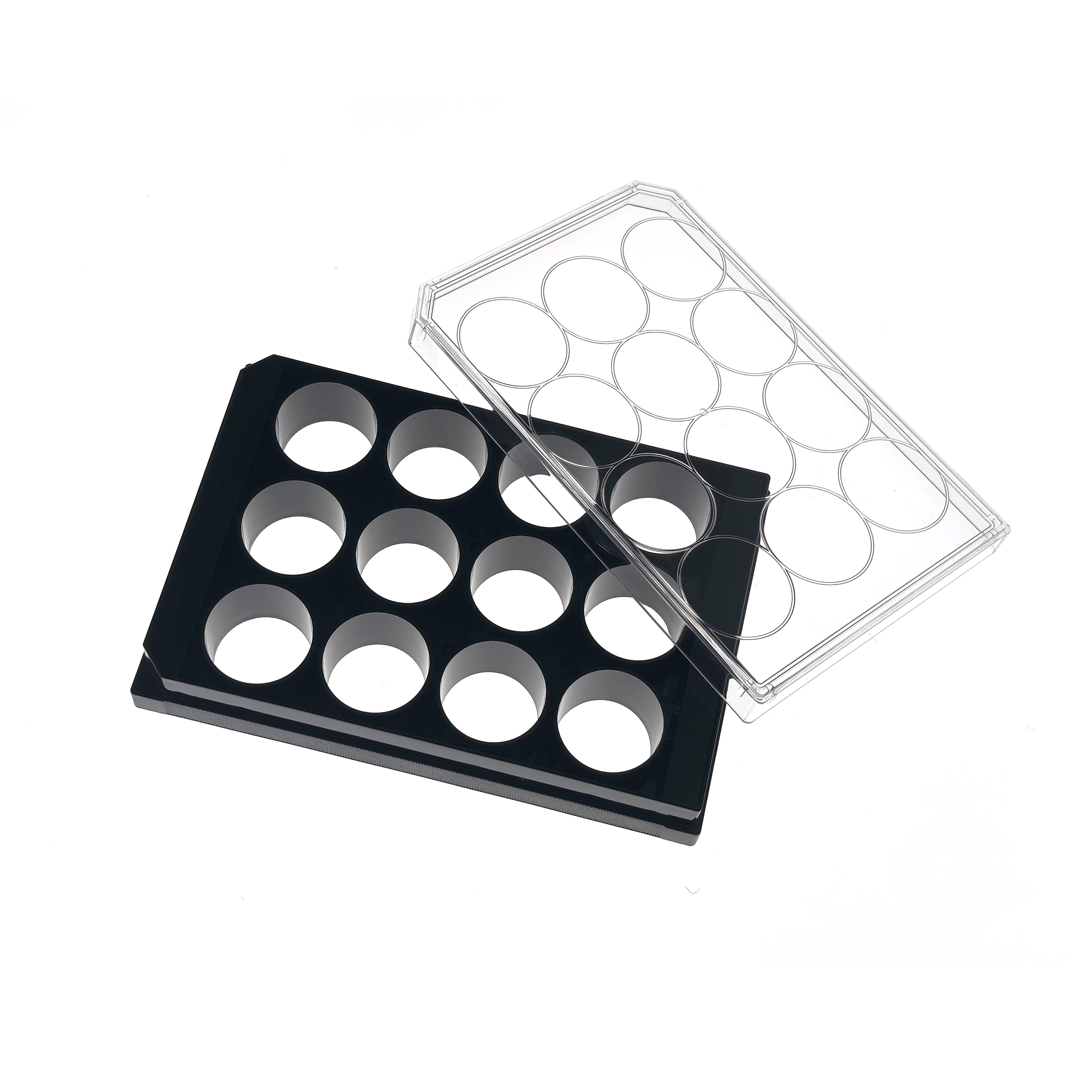 12 Well glass bottom plate (5) Two empty circular-mold makeup palettes, one black with large round wells and a clear plastic case, angled together.