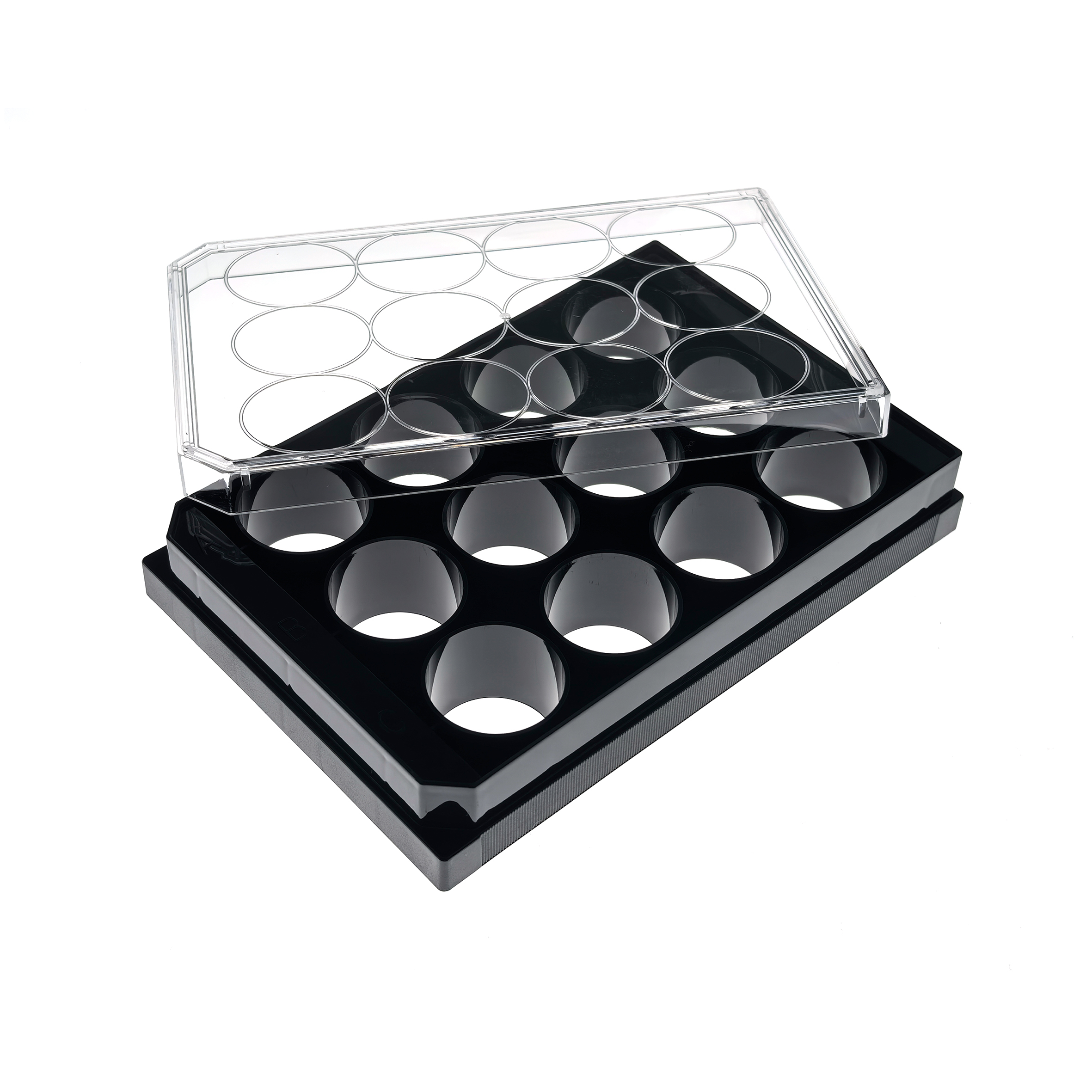 12 Well glass bottom plate (6) Transparent plastic makeup palette with multiple round wells and a hinged lid, resting on a black base.