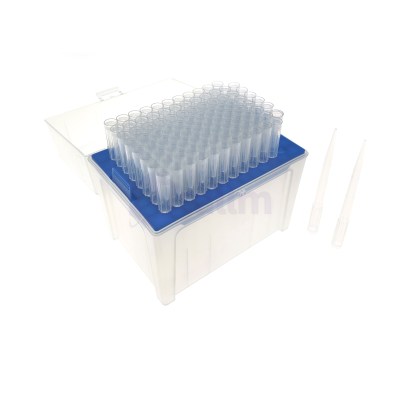 Clear plastic lab rack with dozens of small cylindrical tubes lined in rows on a blue base edge.