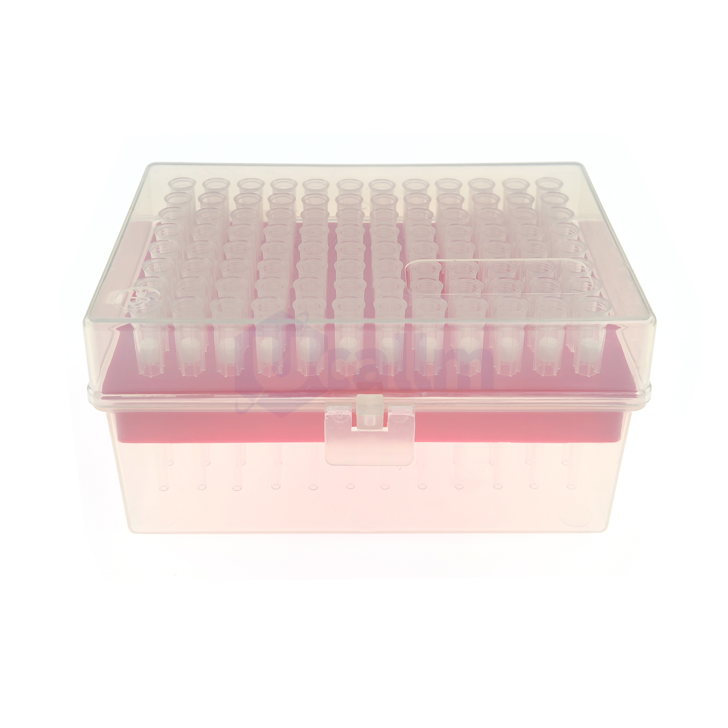 200µL Wide-bore Filter Pipette Tips, Clear, Filtered, Sterile, Racked-1 Top-down view of a pink transparent plastic rack filled with many small clear microcentrifuge tubes arranged in rows within a clear container