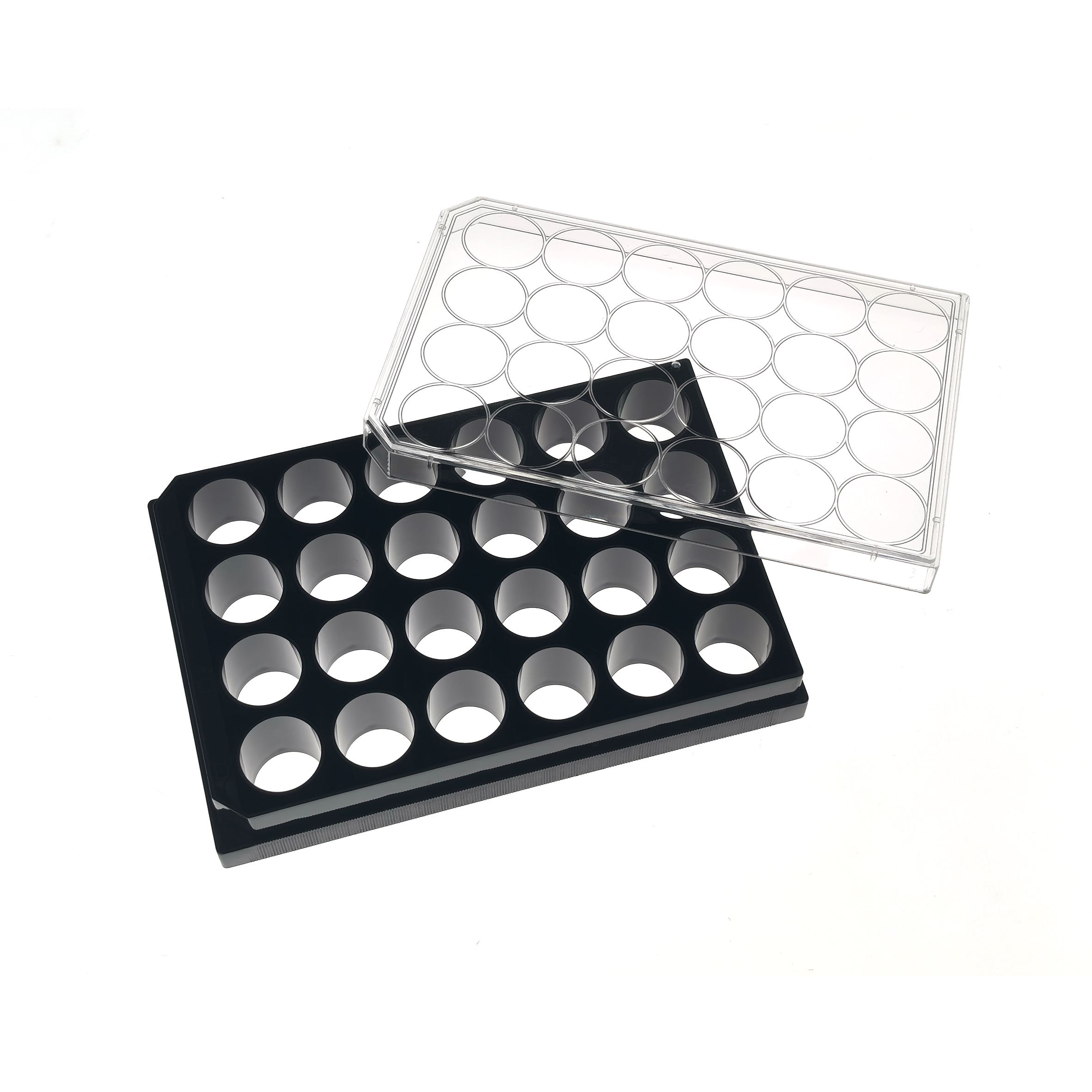 24 Well glass bottom plate (2) Clear 96-well microplate resting on a black rack, angled on a white background.