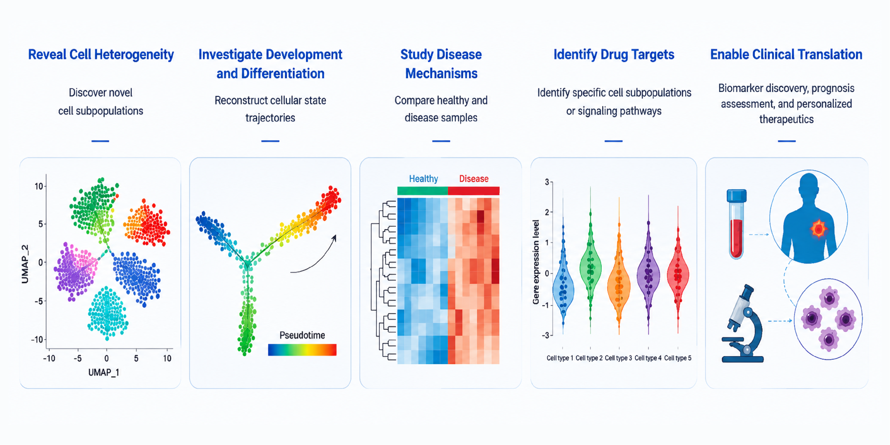 Infographic depicting five research stages: cell heterogeneity, development and differentiation, disease mechanisms, drug targets, and clinical translation, with representative data visuals.